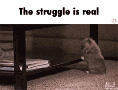 Jjm Struggle Is Real GIF - Jjm Struggle Is Real Struggle GIFs