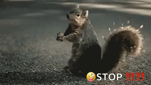 Squirrelscream Shocked GIF - Squirrelscream Shocked Stop GIFs