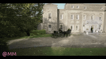 a horse drawn carriage is pulled by two horses in front of a large building