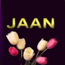 Jaan Flowers GIF - Jaan Flowers Tulips GIFs