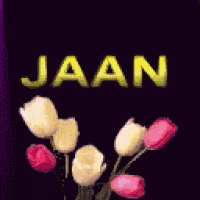 the word jaan is on a purple background with flowers in front of it