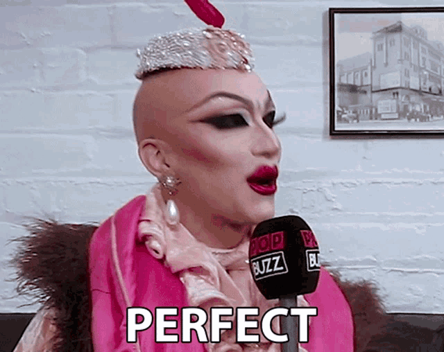 a drag queen is wearing a pink outfit and holding a microphone that says perfect