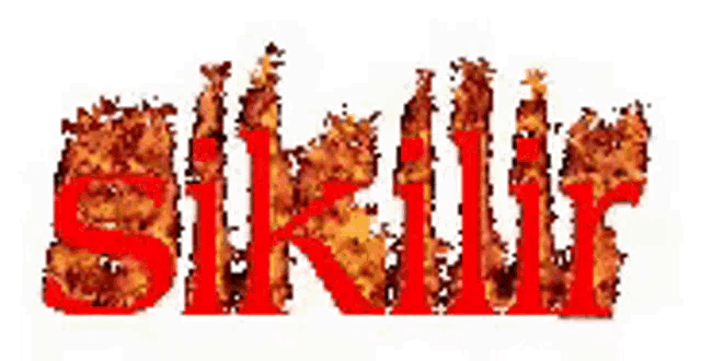 the word skill is written in red letters on a white background