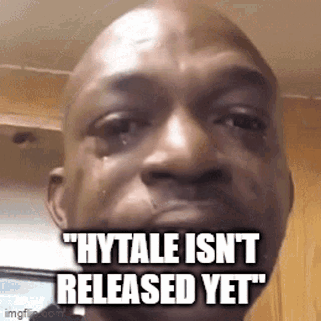 Hytale Hytale Isnt Released GIF - Hytale Hytale Isnt Released GIFs