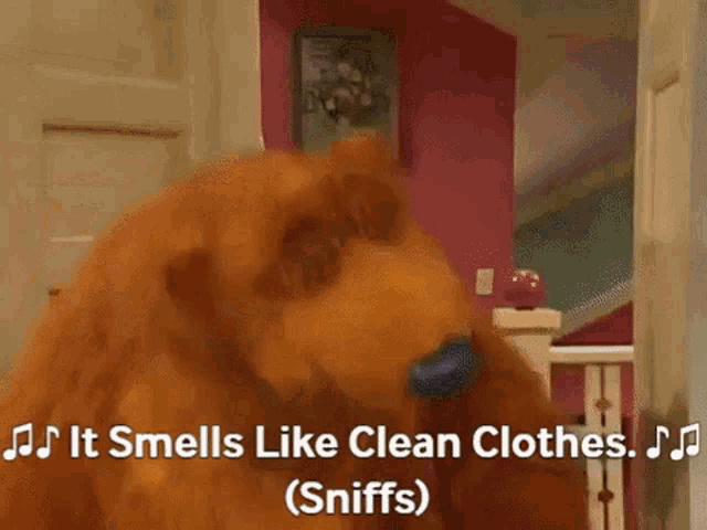 a stuffed animal singing it smells like clean clothes