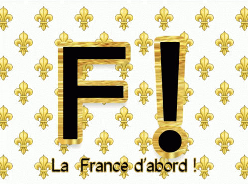 Vive La France GIF - Vive La France GIFs