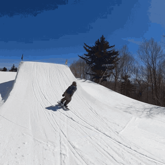Snowboarding Backflip Frontside360 GIF - Snowboarding Backflip Frontside360 Miles Fallon GIFs