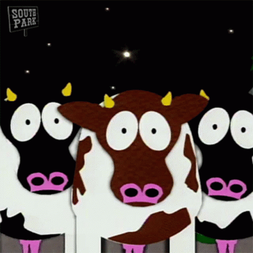 Shocked Cows GIF - Shocked Cows South Park GIFs