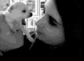 a black and white photo of a woman holding a small white dog