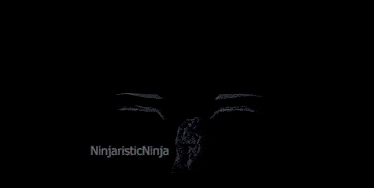 a drawing of a man with glasses and the word ninja on the bottom right