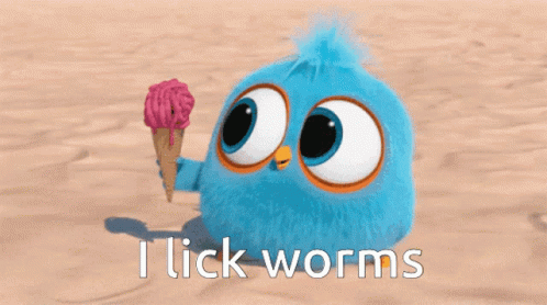 I Lick Worms Bird GIF - I Lick Worms Bird Cute GIFs