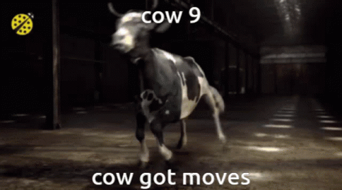 Cow 9_ GIF - Cow 9_ Cow9 GIFs