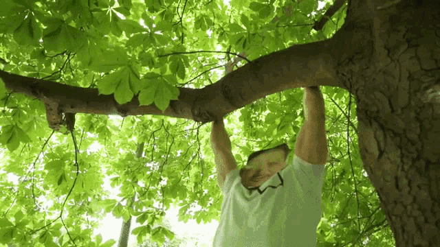 a man in a white shirt is hanging from a tree branch with lots of green leaves