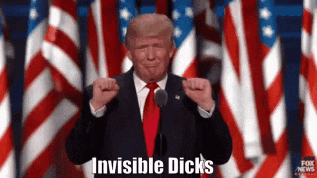 donald trump is giving a speech in front of a crowd of american flags and says invisible dicks