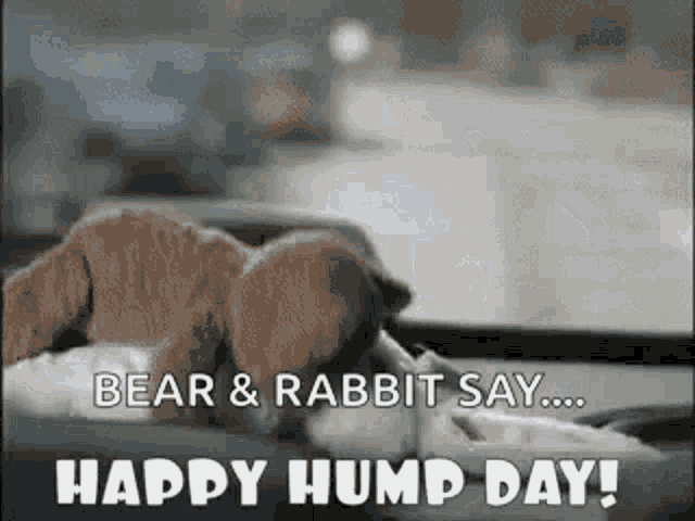 Happy Hump GIF - Happy Hump Day GIFs