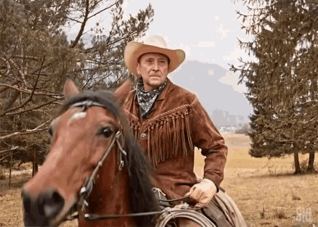 a man in a cowboy hat is riding a horse in a field