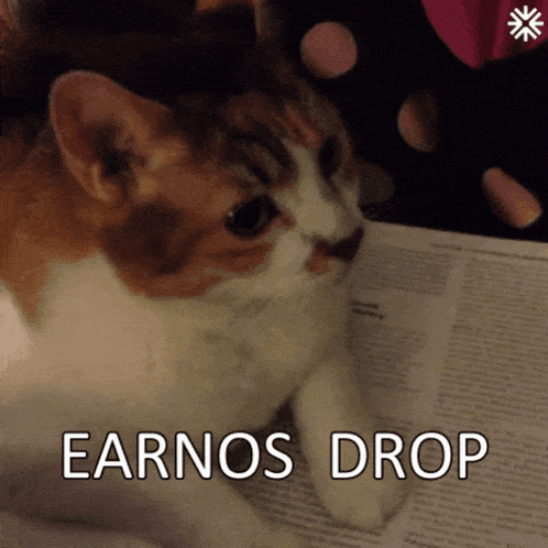 a cat laying on a piece of paper with the words " earnos drop " on the bottom