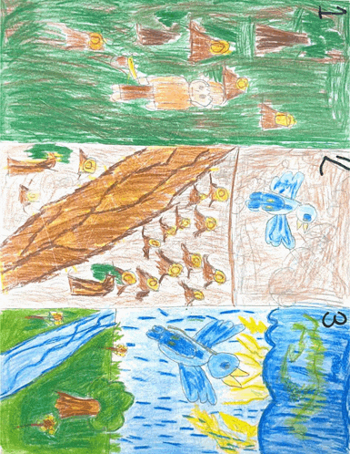 a child 's drawing of birds and a river with the number 3 on it