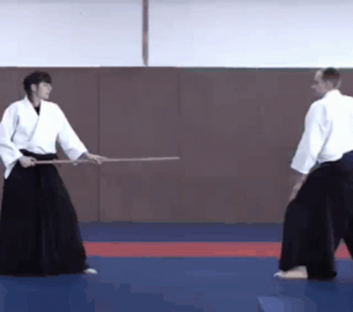 Aikido Ls Wow Wow Wow Stop GIF - Aikido Ls Wow Wow Wow Stop Mamour GIFs