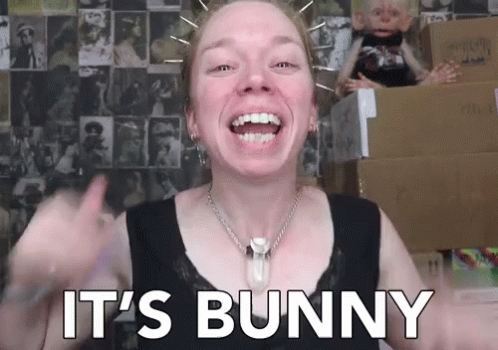 Its Bunny Rabbit GIF - Its Bunny Rabbit Excited GIFs