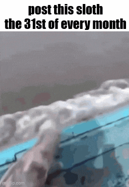 a picture of a sloth swimming in a pool with the caption post this sloth the 31st of every month
