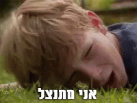 Icanhasfalafel On The Ground GIF - Icanhasfalafel On The Ground GIFs