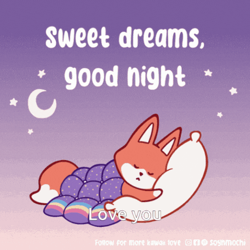 a picture of a fox sleeping with the words sweet dreams good night love you