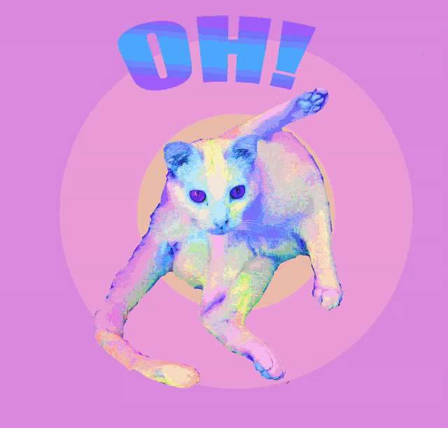 a colorful cat is laying on a blue background with the word oh above it
