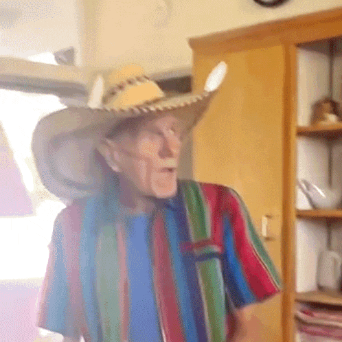 an elderly man wearing a cowboy hat and a striped shirt