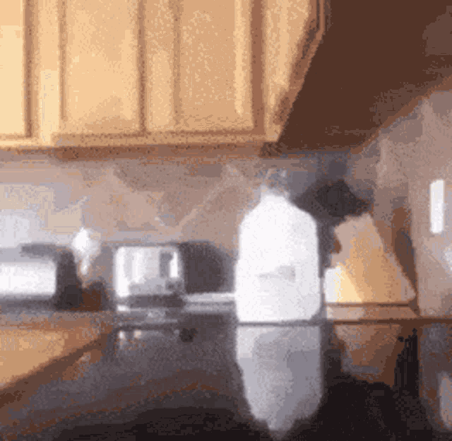 a bottle of milk is on a kitchen counter