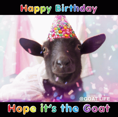 Happy Birthday Goat GIF - Happy Birthday Goat GIFs