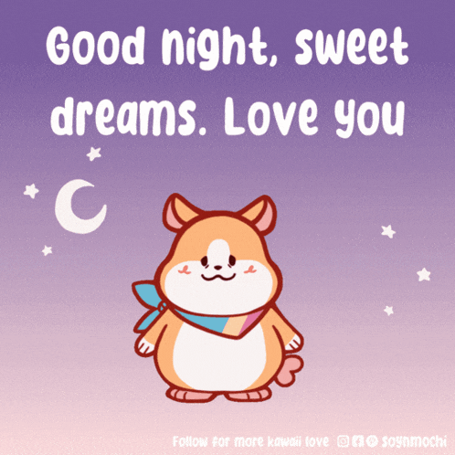 a picture of a hamster with the words good night sweet dreams love you on it