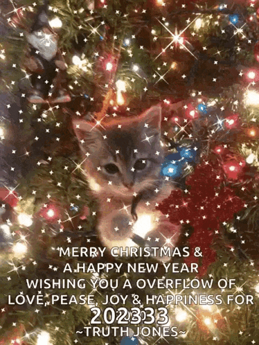 a merry christmas and a happy new year wishing you a overflow of love please joy and happiness for 202233 truth jones
