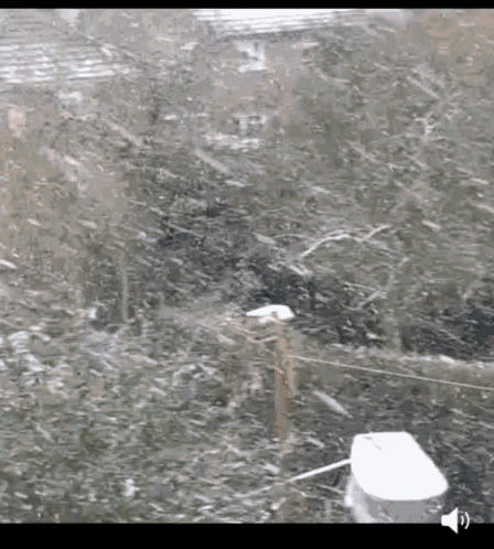 a snowy landscape with a white object in the middle