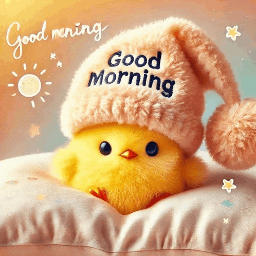 a yellow stuffed chicken wearing a pink hat with the words good morning written on it .