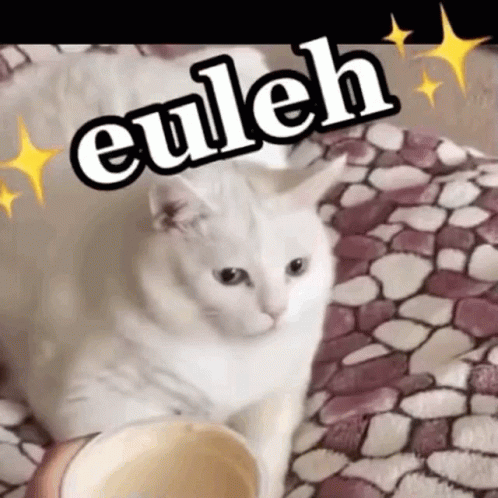 Euleh Puke GIF - Euleh Puke Cat GIFs