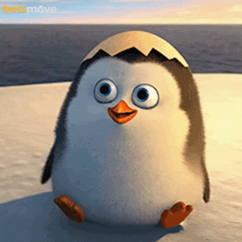 Cute Penguin GIF - Cute Penguin GIFs