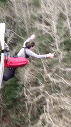 Scared Jump GIF - Scared Jump Funny GIFs