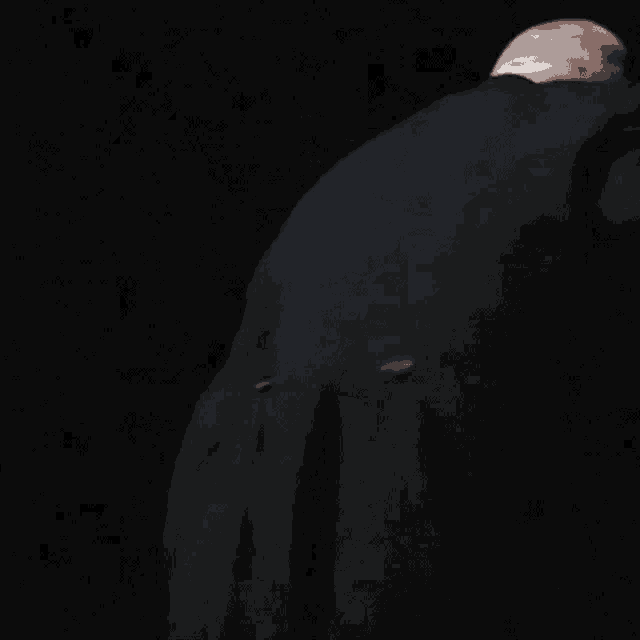 the back of a man in a black suit is shown in a dark room .