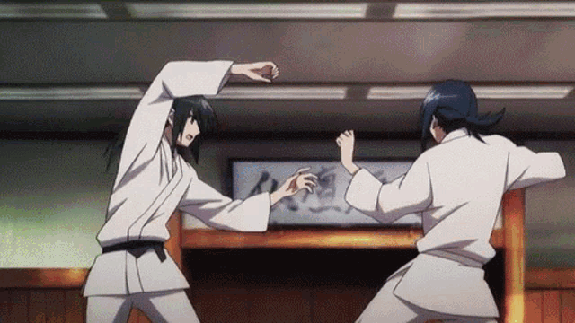 Anime Judo GIF - Anime Judo Karate GIFs