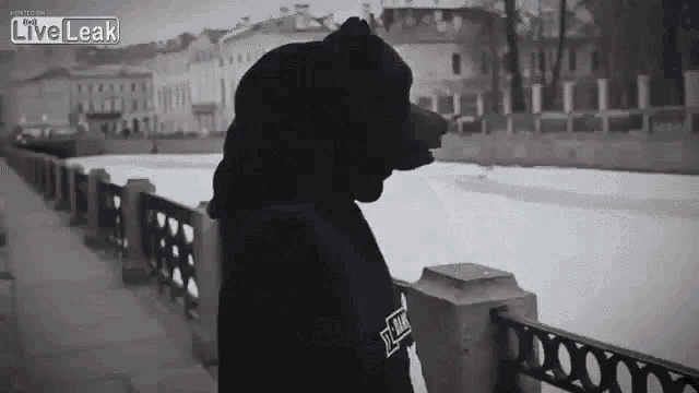 a black and white photo of a person wearing a hoodie that says ' liveleak ' on the bottom