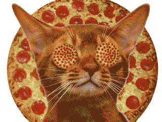 a cat is surrounded by a circle of pepperoni pizza