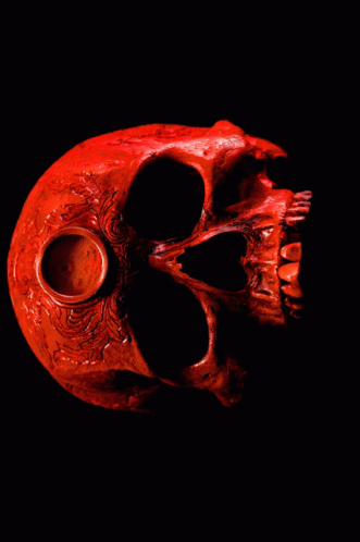Lucas Anderson Skull GIF - Lucas Anderson Skull Death GIFs