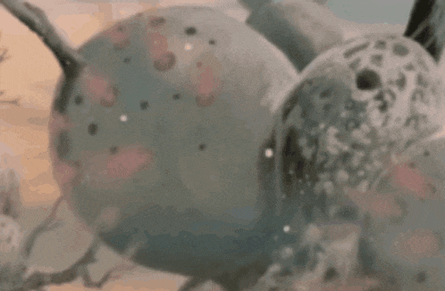 a close up of a painting of a sphere with a leopard print on it .