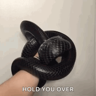 Black Snake GIF