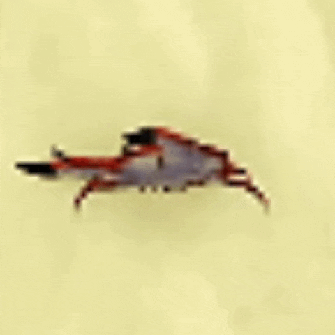 a small red and white crab is flying in the air on a yellow background .