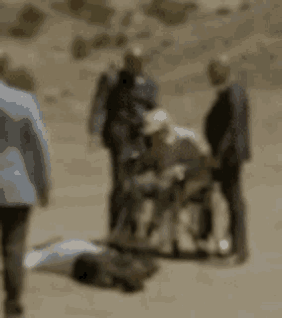 a blurry picture of a group of people standing around a person in a wheelchair .