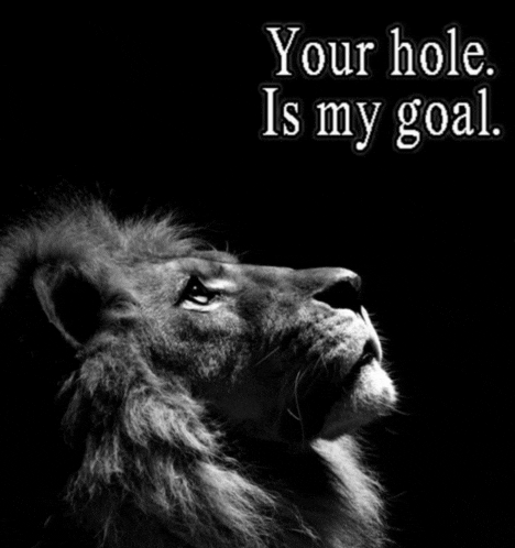 a black and white photo of a lion with the words " your hole is my goal " below it