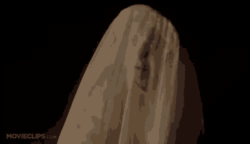 a ghost is covered in a white veil and looking at the camera .