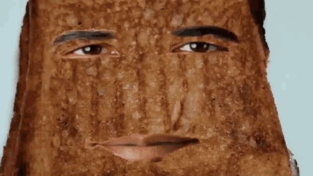 a close up of a person 's face made out of a tree trunk